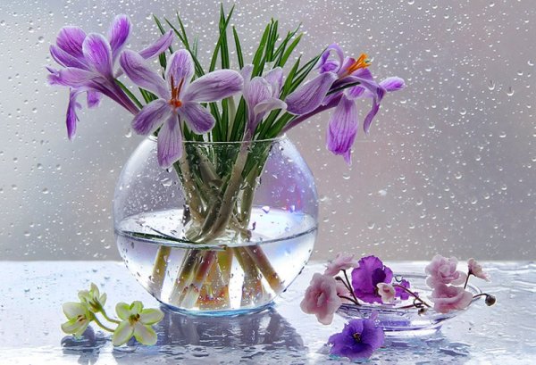 Доброго весеннего вечера