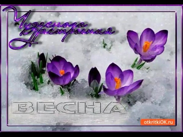 Чудесного весеннего дня