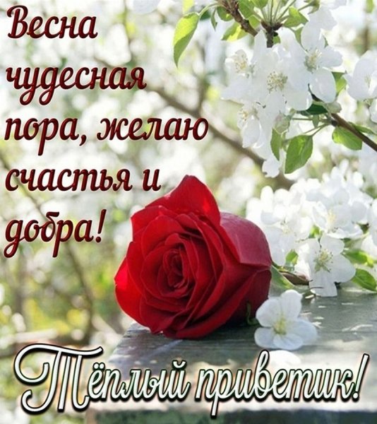 Добрые весенние пожелания