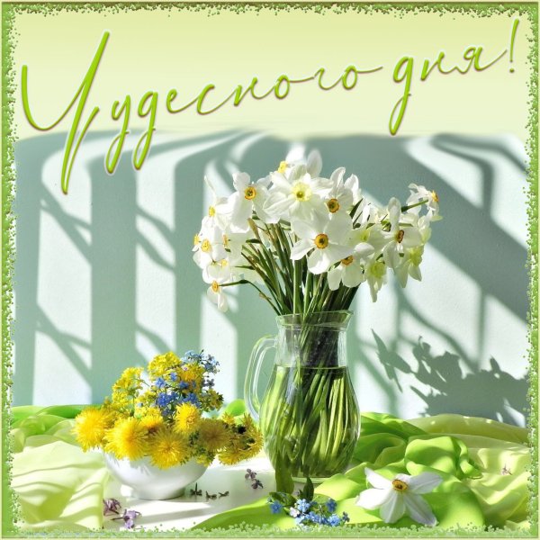 Открытки чудесного дня