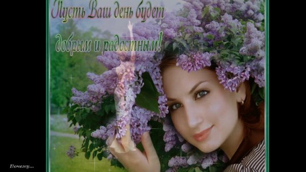 Хорошего дня сирень