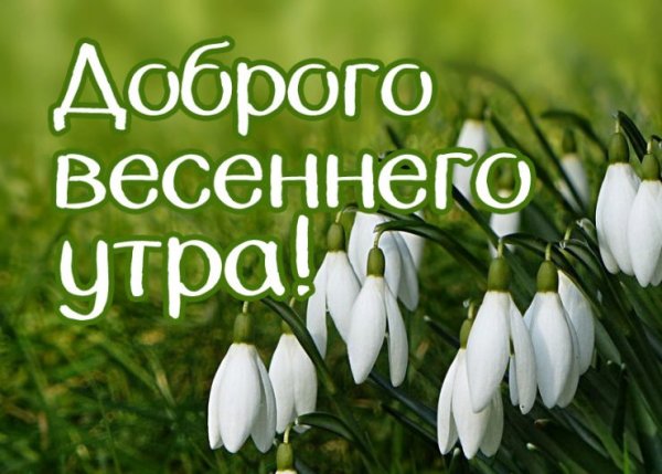 С добрым весенним утром с детьми
