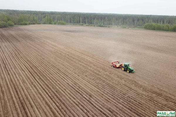 Праздники славян в марте 2021