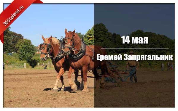 Живин день Славянский праздник