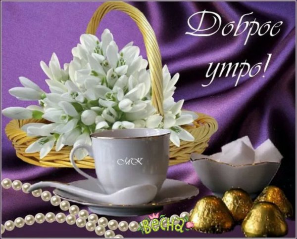 Доброготвесеннего дня!