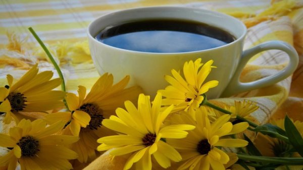 Доброе солнечное утро хорошего дня