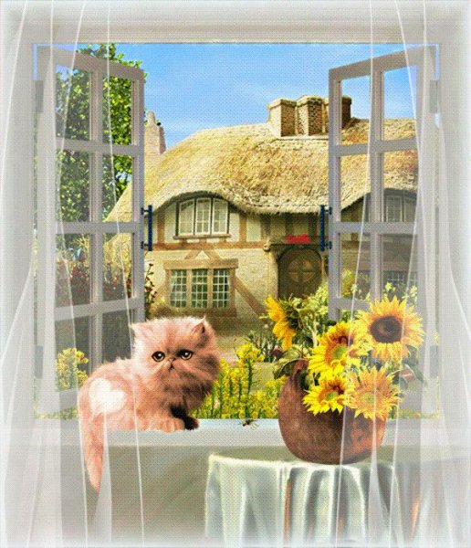 Утро доброе в окошко