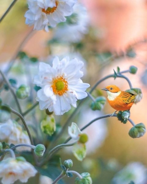 Доброе летнее утро птички