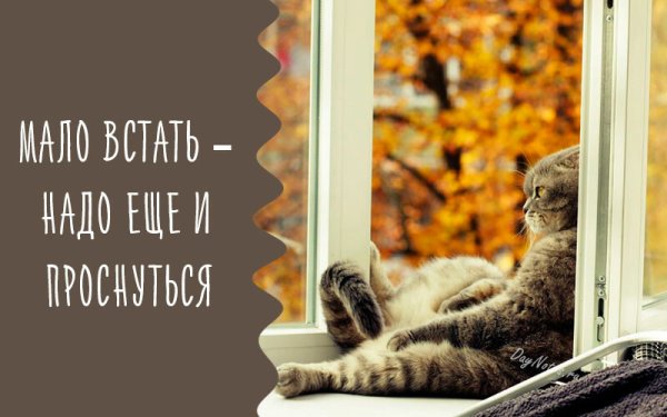 Утро доброе в окошко осень