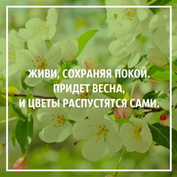 Стихи о весне картинки