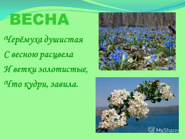 Доброе утро Ландыши