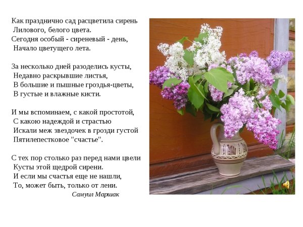 Весенний вечер