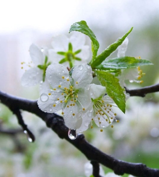 Что можно пожелать человеку