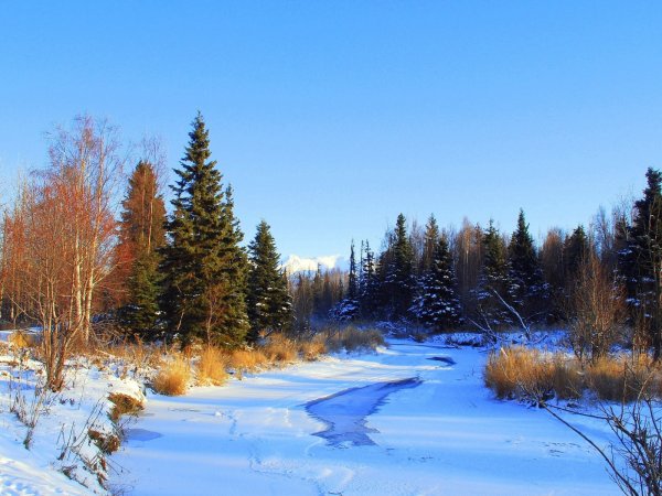 Весенний пейзаж