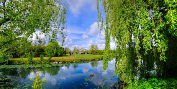 Весенний пейзаж живопись