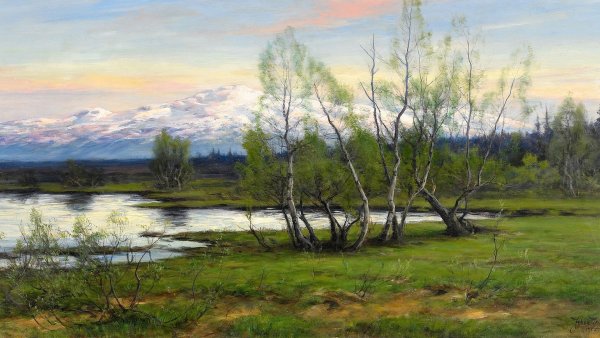 Цветущая черемуха