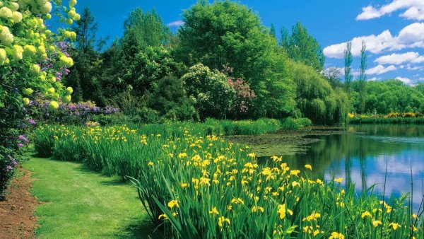 Май природа