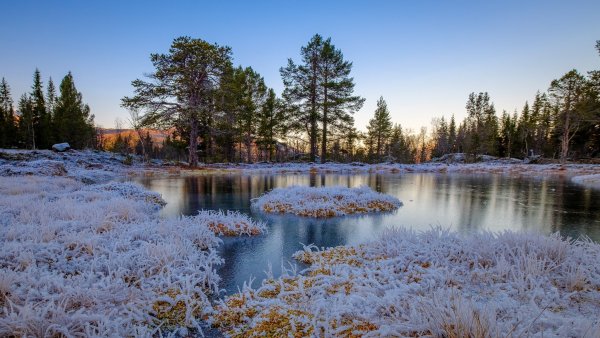 Ранняя Весна