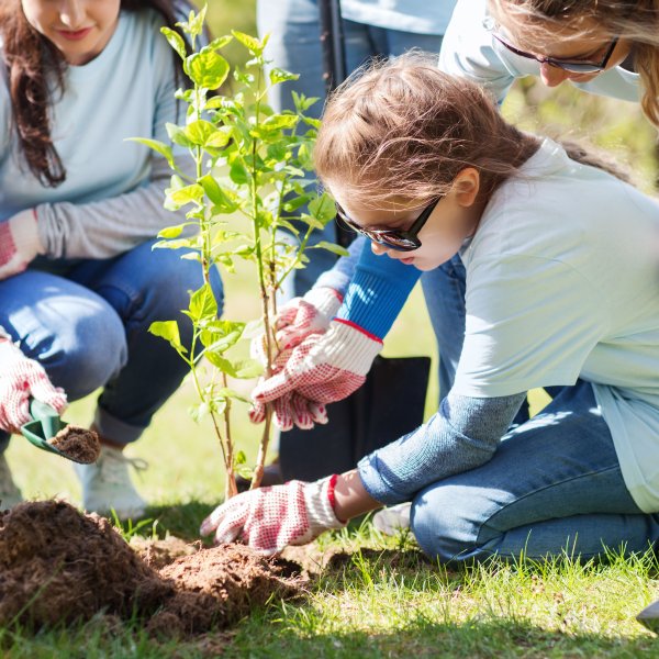 Забота о природе