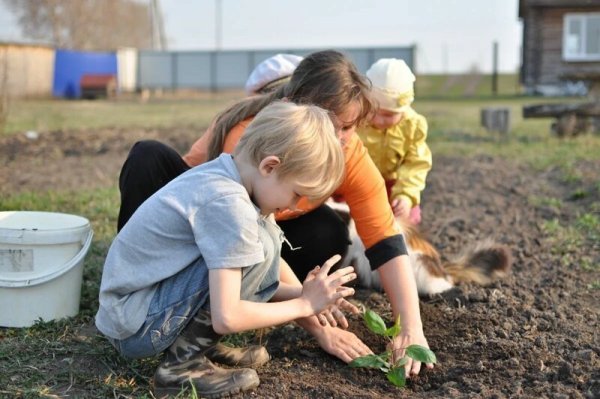 Трудолюбивый ребенок