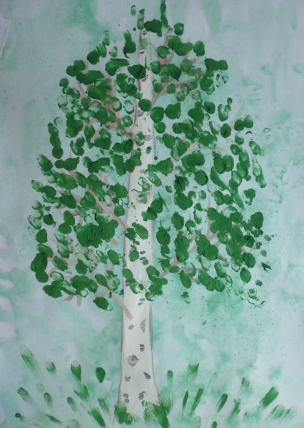 Береза рисунок