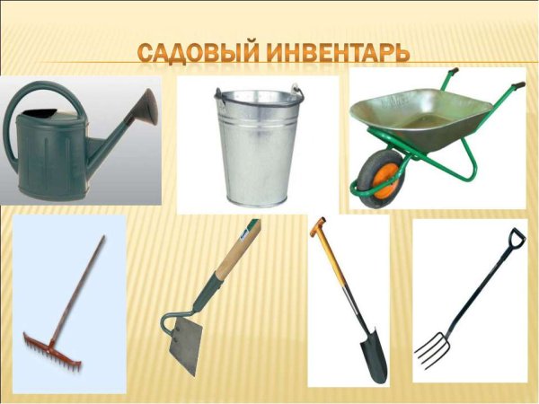 Предметы, необходимые для труда в огороде