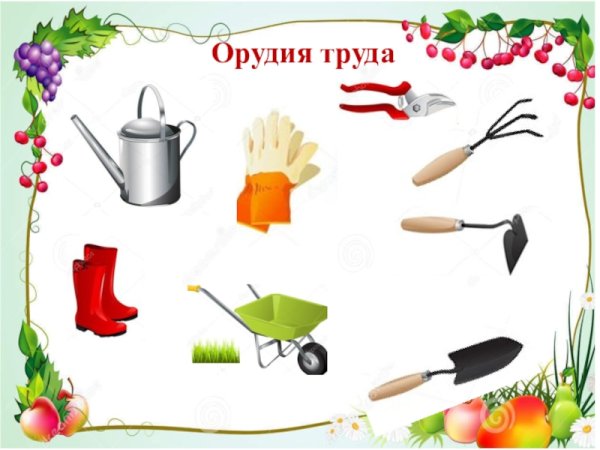 Орудия труда для уборки