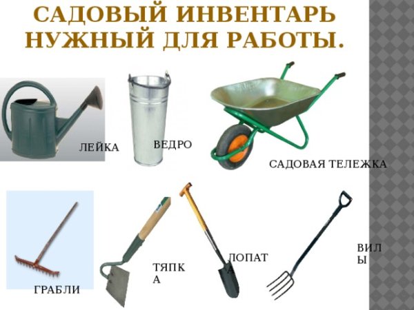 Четвертый лишний инструменты