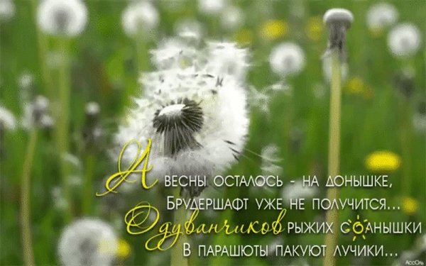 А весны осталось на донышке стихи