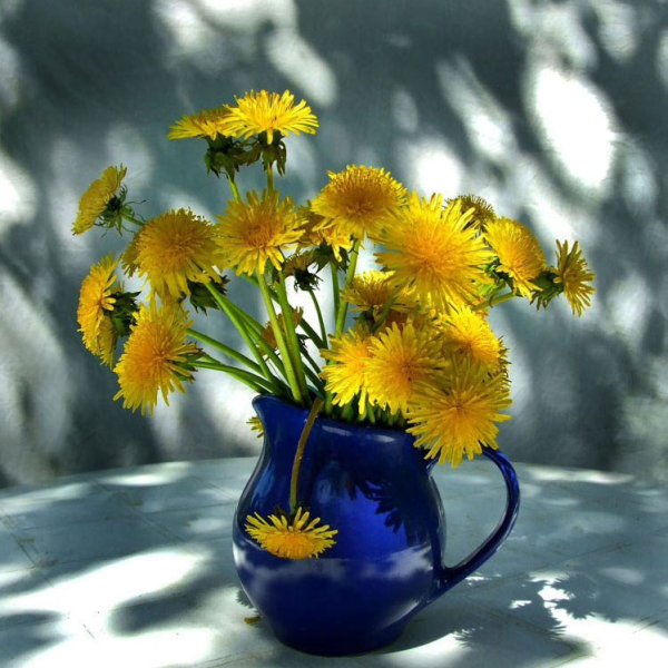 Одуванчики в вазе