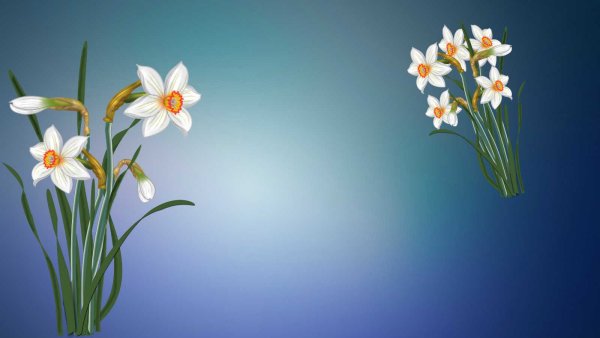 Грег Кройц нарциссы