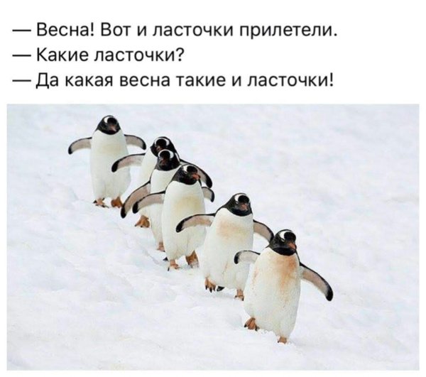 Такая хреновая Весна