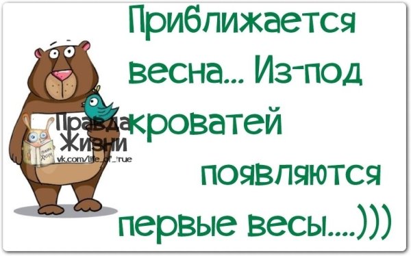 Весна ты где