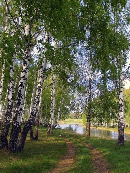 Весна в России