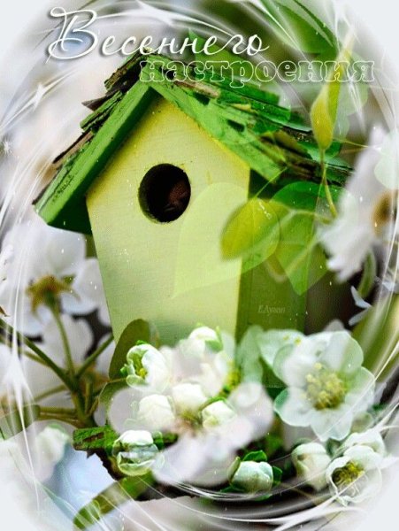 Доброе утро и хорошего дня стильные