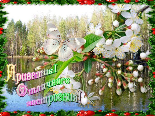 Добрый день среда Весна