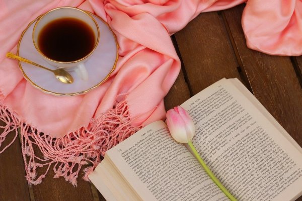 Чашка чая и книга