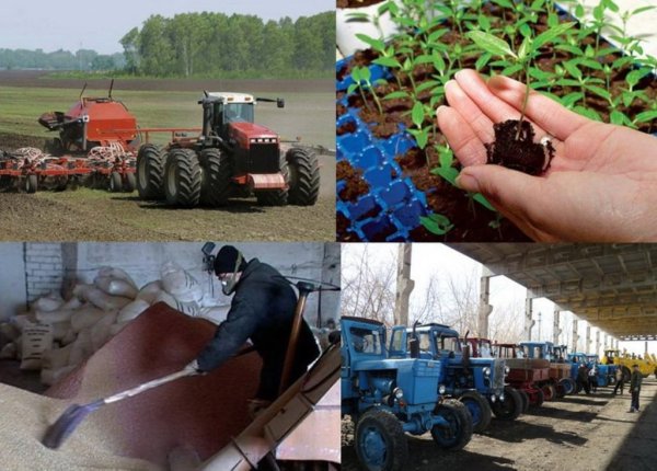 Сельскохозяйственные работы весной