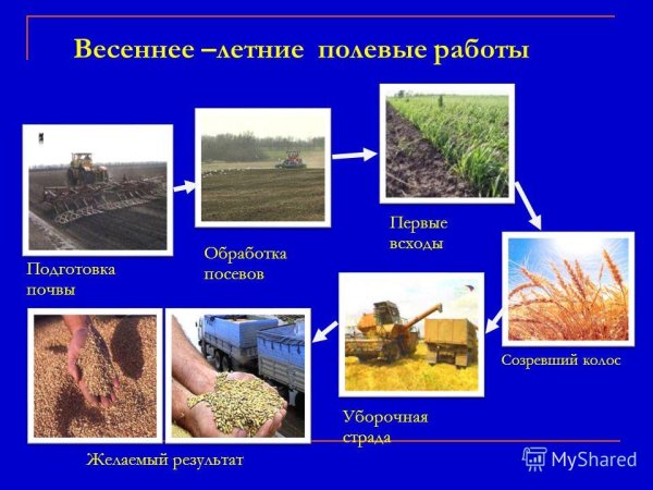 Презентация на тему весенние полевые работы