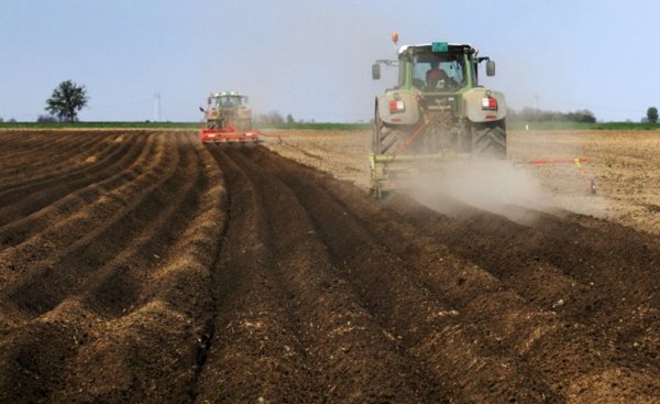 Полевые работы для детей