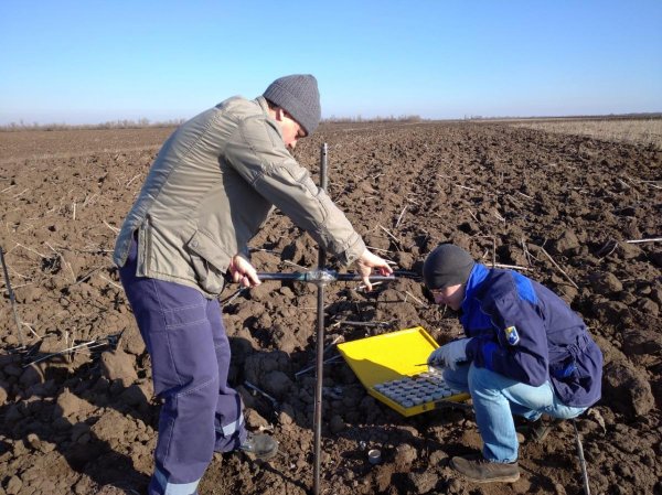 Полевой работник