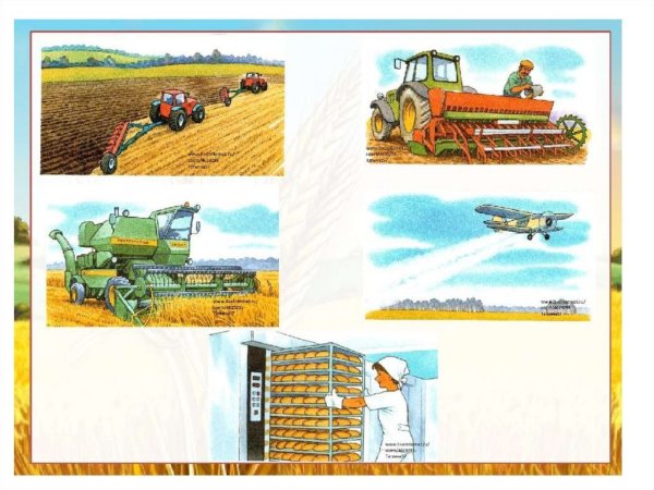 Сельскохозяйственные работы весной детям