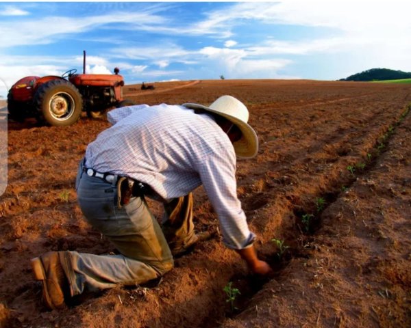 Раскраска сельское хозяйство