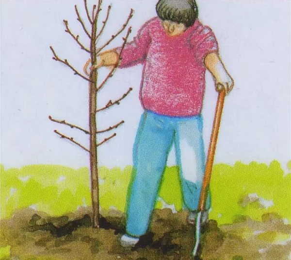 Труд людей в природе весной