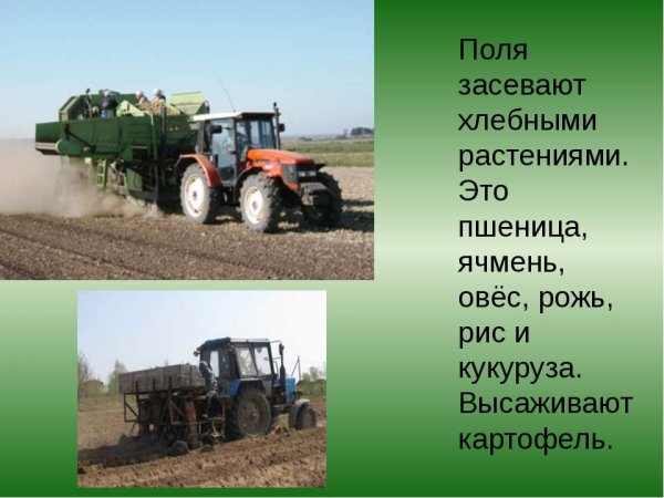 Занятия людей осенью