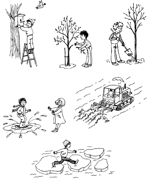 Сюжетные картины