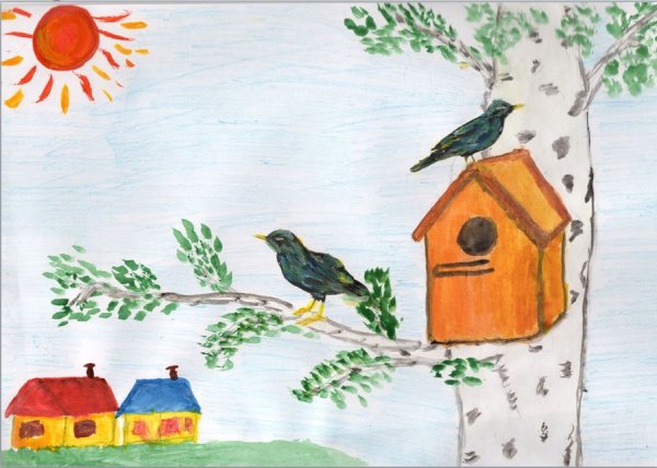 Белов скворцы