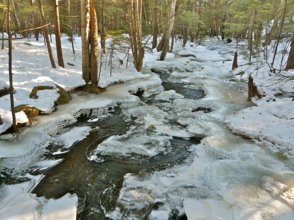 Ручейки весной
