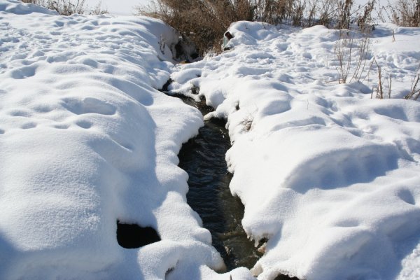 Ручейки бегут