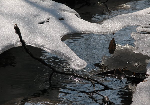 Бегут ручьи Журчат ручьи
